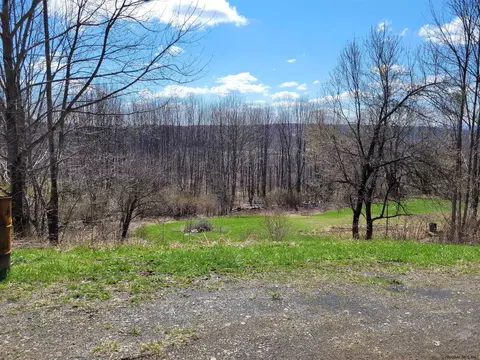 162 Steves Path, Summit, NY 12175 photo 11