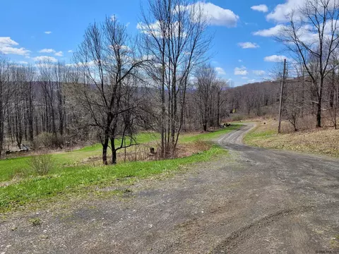 162 Steves Path, Summit, NY 12175 photo 19