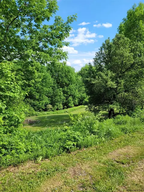 162 Steves Path, Summit, NY 12175 photo 13