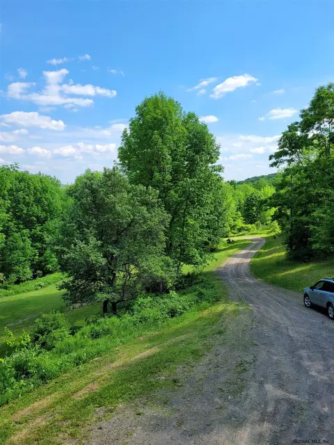 162 Steves Path, Summit, NY 12175 photo 16