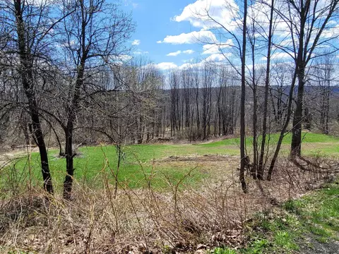 162 Steves Path, Summit, NY 12175 photo 20