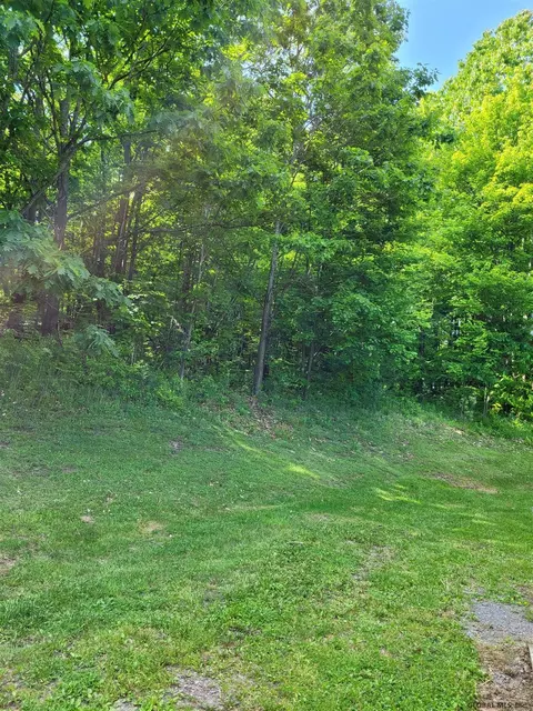 162 Steves Path, Summit, NY 12175 photo 17