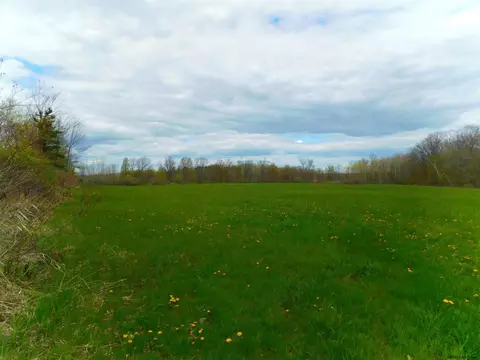 412 Crommie Rd, Cobleskill, NY 12043 photo 33