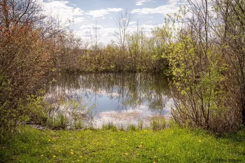 412 Crommie Rd, Cobleskill, NY 12043 photo 40