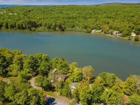 291 Bear Gulch Rd, Summit, NY 12175 photo 10