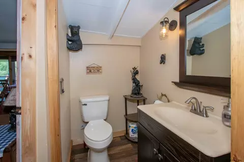 291 Bear Gulch Rd, Summit, NY 12175 photo 25