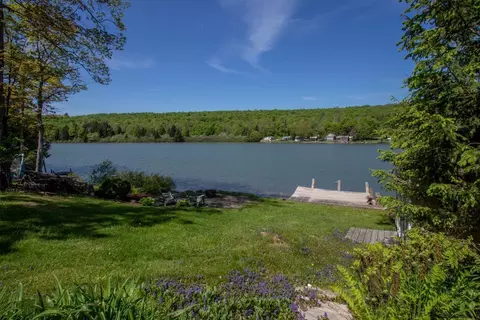 291 Bear Gulch Rd, Summit, NY 12175 photo 8