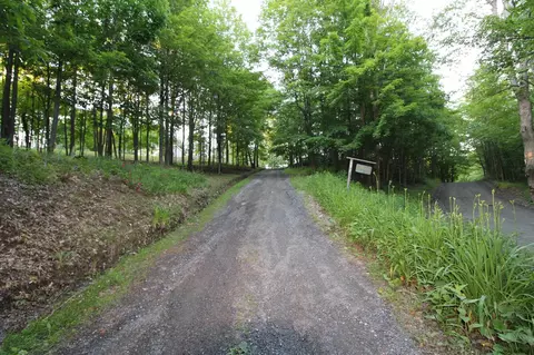 697 Harper Rd, Argyle, NY 12809 photo 6