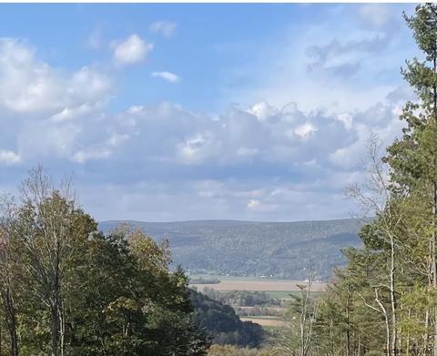 000 Huntersland Rd, Middleburgh, NY 12122