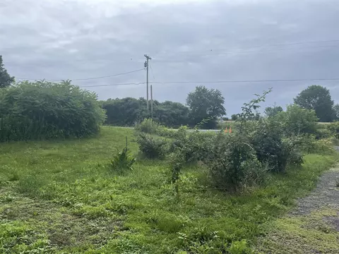 195 Line Rd, Berne, NY 12023 photo 16