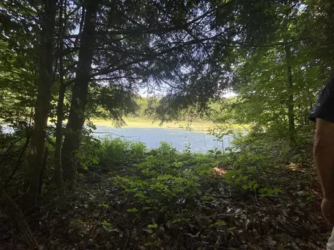 895 Mcdougall Rd, Argyle, NY 12809 photo 25