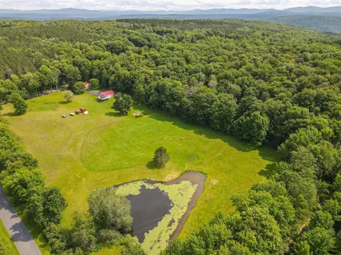 147 Rossman Hill Rd, Summit, NY 12175 photo 50