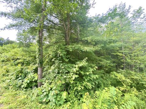 402 Angel Rd, Corinth, NY 12822 photo 8