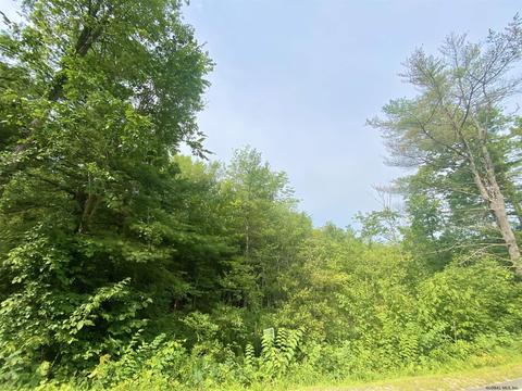 402 Angel Rd, Corinth, NY 12822 photo 4