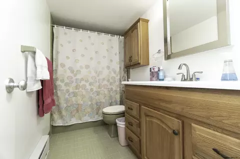 11 Willow Dr, Delmar, NY 12054 photo 37