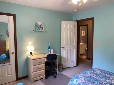 219 Drummond Dr, Ballston Spa, NY 12020 photo 31