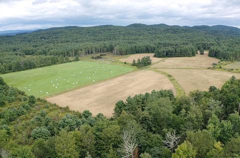 11830 State Route 4 #LOT 1 & 2 TAYLOR PAT, Whitehall, NY 12887