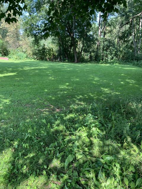 L36 End Of Elizabeth Street, Whitehall, NY 12887