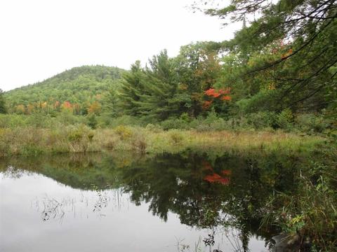 L1.1 Buck Hill Road, Ausable Forks, NY 12912