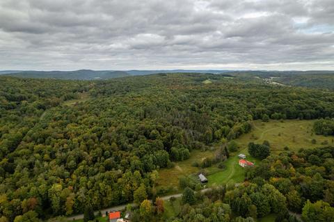 133 Bailey Rd, Schenevus, NY 12155 photo 4