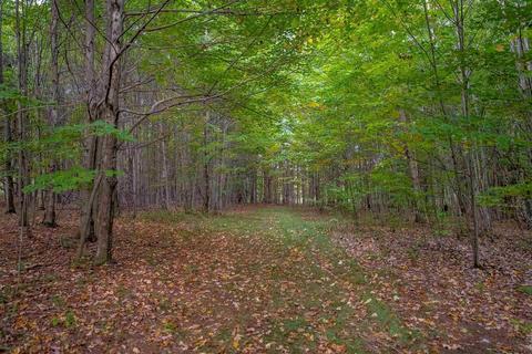 133 Bailey Rd, Schenevus, NY 12155 photo 43