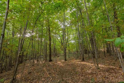 133 Bailey Rd, Schenevus, NY 12155 photo 40