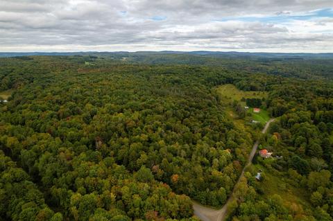 133 Bailey Rd, Schenevus, NY 12155 photo 5