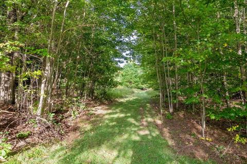 133 Bailey Rd, Schenevus, NY 12155 photo 42