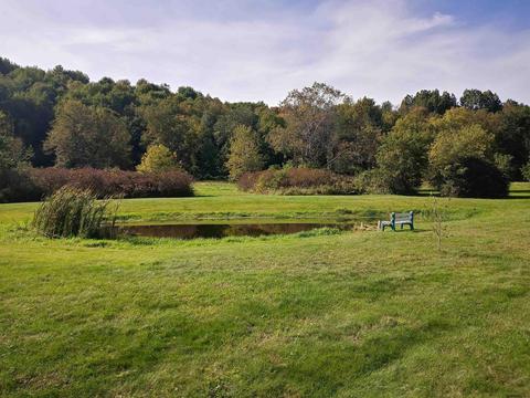 115 Williams Rd, Hampton, NY 12837 photo 44