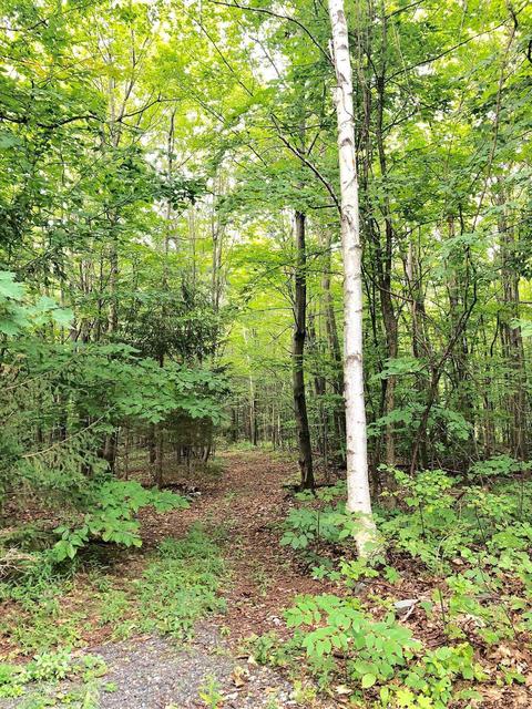 123 Summit Lake Rd, Argyle, NY 12809 photo 33