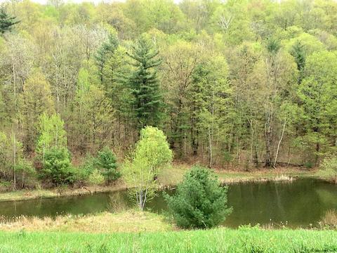 123 Summit Lake Rd, Argyle, NY 12809 photo 32