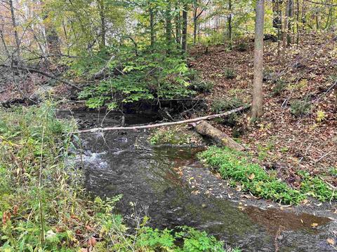 25 Sullivan Ln, Argyle, NY 12809 photo 45