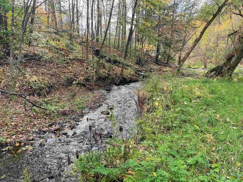 25 Sullivan Ln, Argyle, NY 12809 photo 46