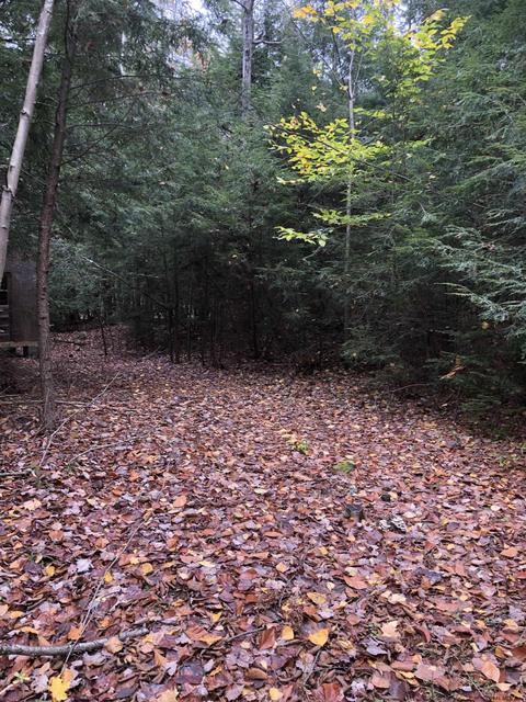 1558 Viele Pond Rd, Warrensburg, NY 12885