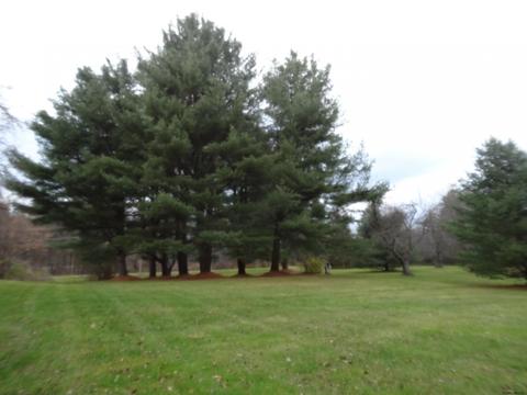 7 Appleton Rd, Rexford, NY 12148 photo 19