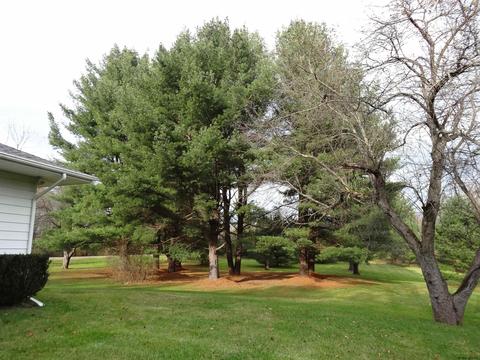7 Appleton Rd, Rexford, NY 12148 photo 10