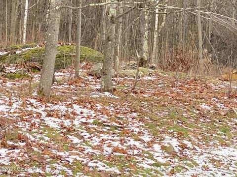 525 Stanton Rd, Cambridge, NY 12816 photo 20