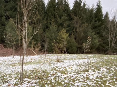 525 Stanton Rd, Cambridge, NY 12816 photo 27