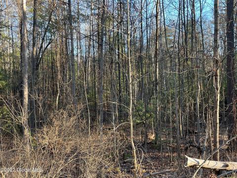 110 Middle Rd #LOT 2, Lake George, NY 12845
