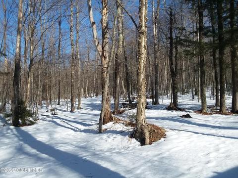 561 Arabia Rd, Summit, NY 12175 photo 6