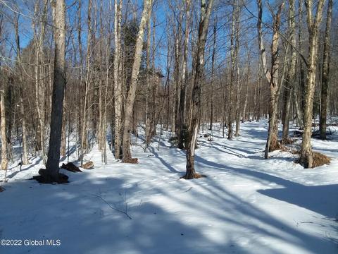 561 Arabia Rd, Summit, NY 12175 photo 5