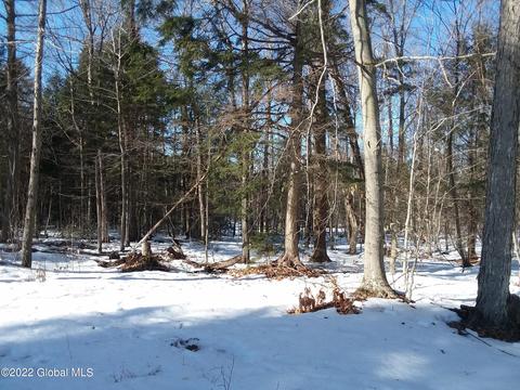 561 Arabia Rd, Summit, NY 12175 photo 7