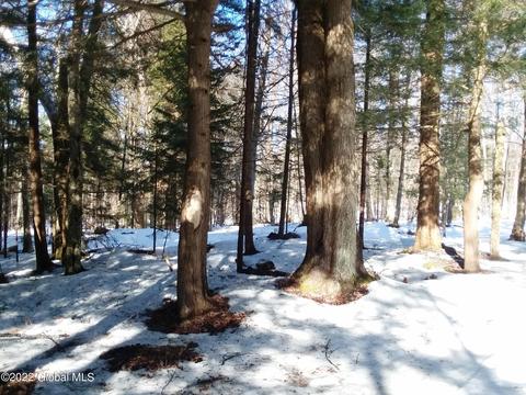 561 Arabia Rd, Summit, NY 12175 photo 4