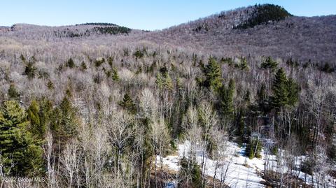 00 Old Farm Rd, North River, NY 12843