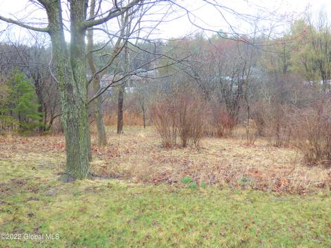 246 Juniper Dr, Schenectady, NY 12306 photo 30