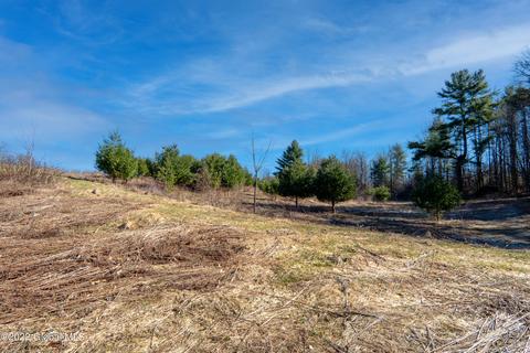 45 Gordon Rd, Argyle, NY 12809 photo 16
