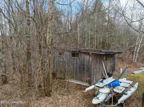 48 Remley Ln, Westerlo, NY 12193 photo 42