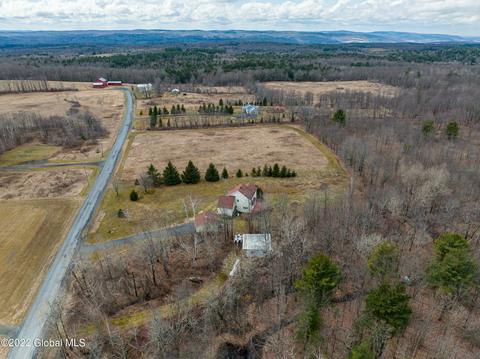 48 Remley Ln, Westerlo, NY 12193 photo 43