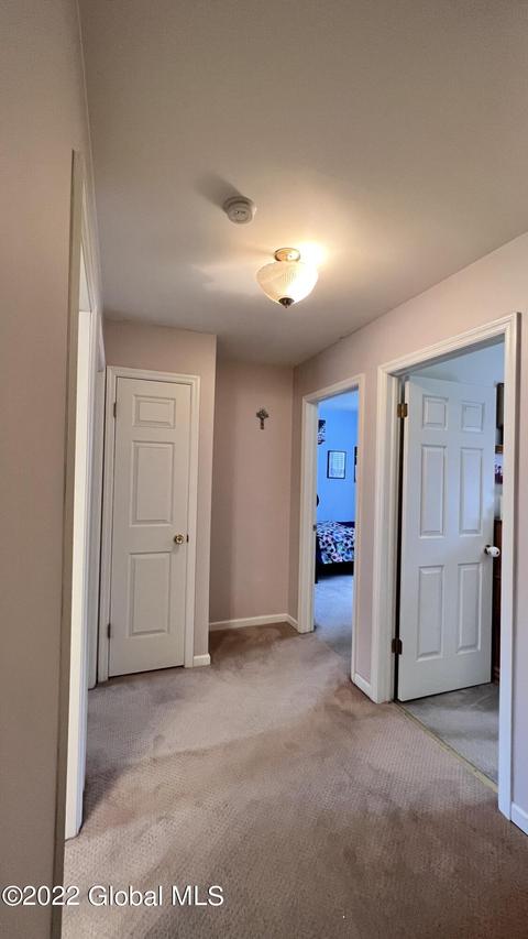 135 Trinity Pl Pl, Selkirk, NY 12158 photo 28