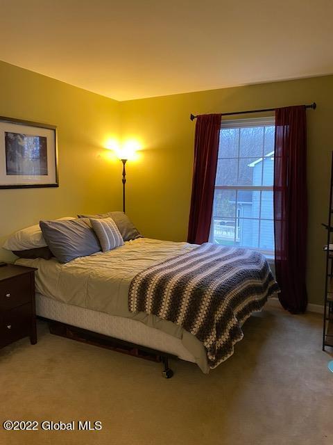107 Sheldon Dr, Mechanicville, NY 12118 photo 21